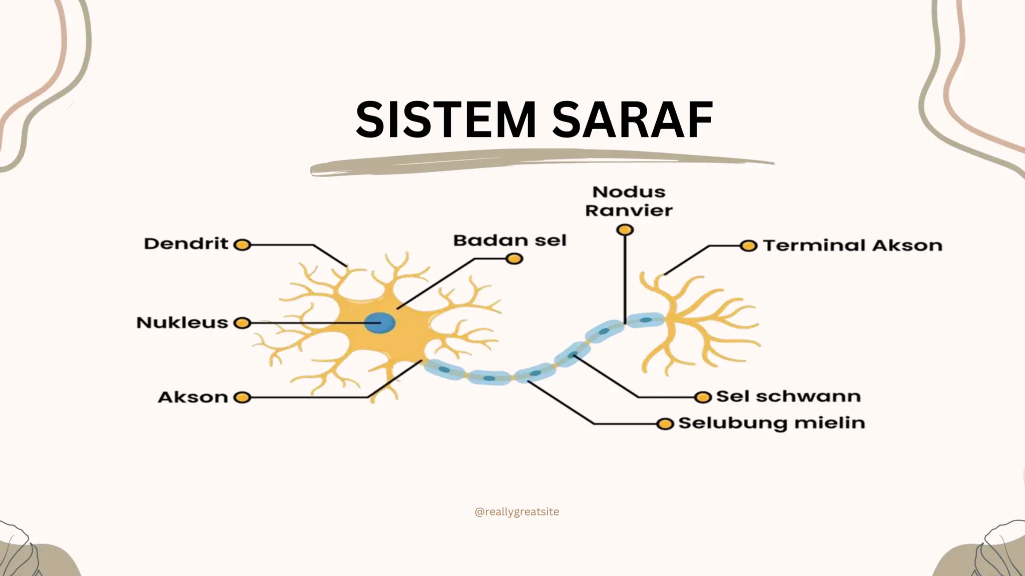 Mengenali Jaringan Otot Dan Saraf.pptx.free