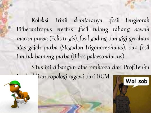 Mengenal manusia purba