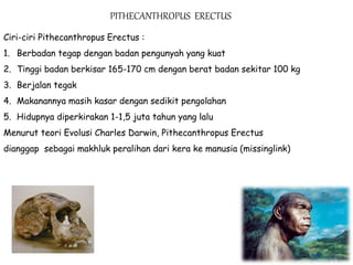 Mengenal manusia purba | PPTX