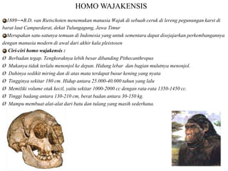 Mengenal manusia purba | PPTX