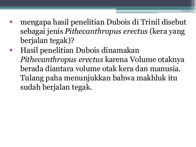 Mengenal manusia purba