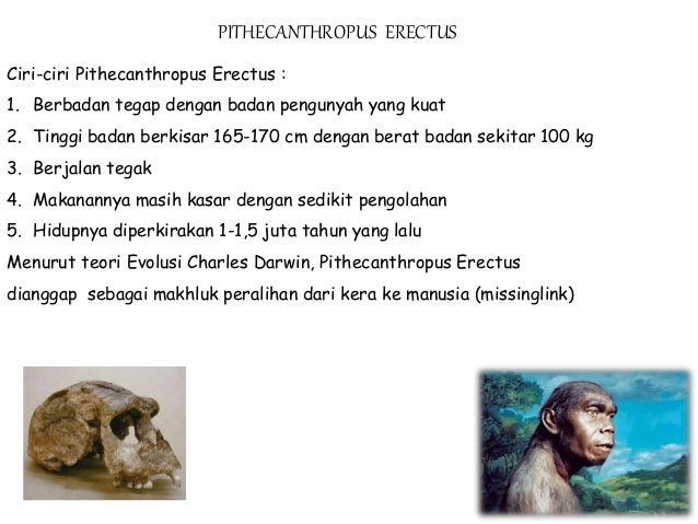 Mengenal Manusia Purba 40156631