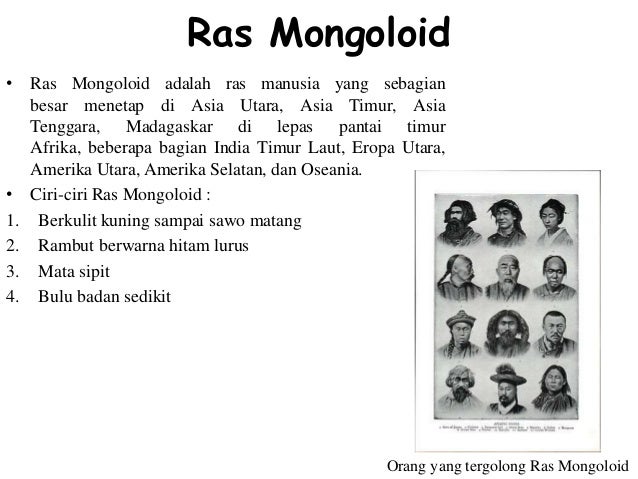 Mengenal manusia purba