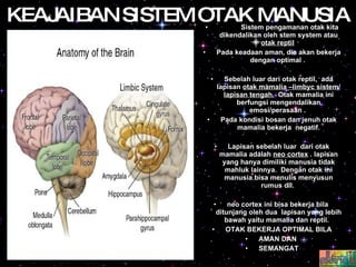 Sistem pengamanan otak kita dikendalikan oleh stem system atau  otak reptil   Pada keadaan aman, dia akan bekerja dengan optimal .  Sebelah luar dari otak reptil,  ada lapisan  otak mamalia –limbyc sistem/ lapisan tengah.   Otak mamalia ini berfungsi mengendalikan emosi/perasaan .  Pada kondisi bosan dan jenuh otak mamalia bekerja  negatif. Lapisan sebelah luar  dari otak mamalia adalah  neo cortex  . lapisan yang hanya dimiliki manusia tidak mahluk lainnya.  Dengan otak ini manusia bisa menulis menyusun rumus dll.  neo cortex ini bisa bekerja bila  ditunjang oleh dua  lapisan yang lebih bawah yaitu mamalia dan reptil.  OTAK BEKERJA OPTIMAL BILA AMAN DAN  SEMANGAT KEAJAIBAN SISTEM OTAK MANUSIA 