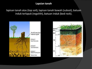 Lapsian tanah

lapisan tanah atas (top soil), lapisan tanah bawah (subsol), batuan
        induk terlapuk (regolith), batuan induk (bed rock).
 