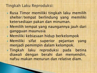 Mengenal Rusa Timor [Autosaved].pptx