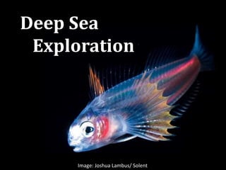 Image: Joshua Lambus/ Solent
Deep Sea
Exploration
 