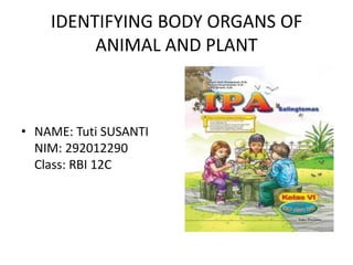 IDENTIFYING BODY ORGANS OF
ANIMAL AND PLANT

• NAME: Tuti SUSANTI
NIM: 292012290
Class: RBI 12C

 