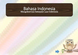 Bahasa Indonesia
Mengobservasi Kekayaan Laut Indonesia
 