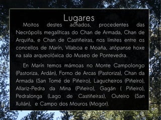 Lugares
Moitos destes achados, procedentes das
Necrópolis megalíticas do Chan de Armada, Chan de
Arquiña, e Chan de Castiñeiras, nos límites entre os
concellos de Marín, Vilaboa e Moaña, atópanse hoxe
na sala arqueolóxica do Museo de Pontevedra.
En Marín temos mámoas no Monte Campolongo
(Pastoriza, Ardán), Forno de Arcas (Pastoriza), Chan da
Armada (San Tomé de Piñeiro), Lagucheiros (Piñeiro),
Allariz-Pedra da Mina (Piñeiro), Gagán ( Piñeiro),
Pedralonga (Lago de Castiñeiras), Outeiro (San
Xulián),  e Campo dos Mouros (Mogor).
 