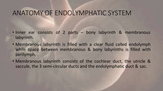 Endolymph Labyrinth Menieres disease | PPTX
