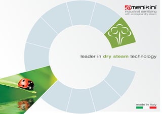 industrial sanitizing 
with ecological dry steam 
 