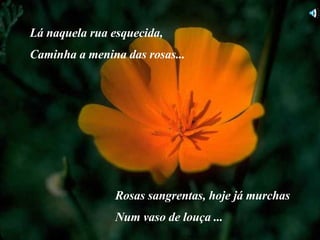 Lá naquela rua esquecida, Caminha a menina das rosas... Rosas sangrentas, hoje já murchas Num vaso de louça ... 