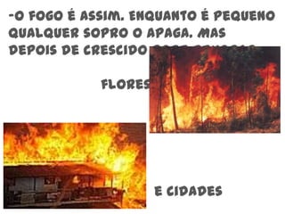 O fogo é assim. Enquanto é pequeno qualquer sopro o apaga. Mas depois de crescido pode devorar…florestase cidades 