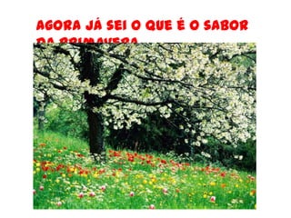 Agora já sei o que é o sabor da primavera,
