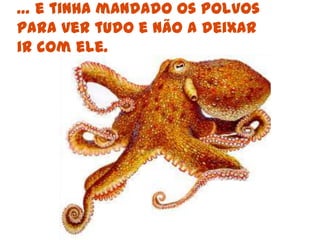 Ela explicou que os búzios tinham ouvido a conversa e tinham ido contar à grande Raia que ficou furiosa … 