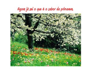 Agora já sei o que é o sabor da primavera,