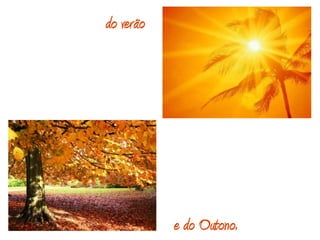 do verãoe do Outono.