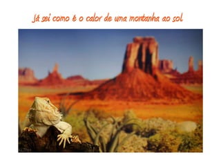 Já sei como é o calor de uma montanha ao sol.