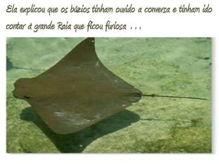 Ela explicou que os búzios tinham ouvido a conversa e tinham ido contar à grande Raia que ficou furiosa … 