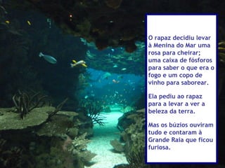 O rapaz decidiu levar
à Menina do Mar uma
rosa para cheirar;
uma caixa de fósforos
para saber o que era o
fogo e um copo de
vinho para saborear.

Ela pediu ao rapaz
para a levar a ver a
beleza da terra.

Mas os búzios ouviram
tudo e contaram à
Grande Raia que ficou
furiosa.
 