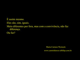 É assim mesmo. Eles são, sim, iguais. Meio diferentes por fora, mas com a convivência, não faz diferença. Ou faz? Maria Carmen Werneck www.carminhawer.ubbihp.com.br   