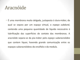 Aracnóide
• É uma membrana muito delgada, justaposta à dura-máter, da
qual se separa por um espaço virtual, o espaço subdural,
contendo uma pequena quantidade de líquido necessário á

lubrificação das superfícies de contato das membranas. A
aracnóide separa-se da pia-máter pelo espaço subaracnóideo
que contem líquor, havendo grande comunicação entre os
espaços subaracnóideos do encéfalo e da medula.

 