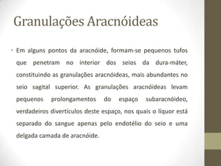 Granulações Aracnóideas
• Em alguns pontos da aracnóide, formam-se pequenos tufos
que penetram no interior dos seios da dura-máter,
constituindo as granulações aracnóideas, mais abundantes no
seio sagital superior. As granulações aracnóideas levam
pequenos

prolongamentos

do

espaço

subaracnóideo,

verdadeiros divertículos deste espaço, nos quais o líquor está
separado do sangue apenas pelo endotélio do seio e uma
delgada camada de aracnóide.

 
