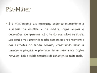 Pia-Máter
• É a mais interna das meninges, aderindo intimamente à
superfície do encéfalo e da medula, cujos relevos e

depressões acompanham até o fundo dos sulcos cerebrais.
Sua porção mais profunda recebe numerosos prolongamentos
dos astrócitos do tecido nervoso, constituindo assim a

membrana pio-glial. A pia-máter dá resistência aos órgãos
nervosos, pois o tecido nervoso é de consistência muito mole.

 