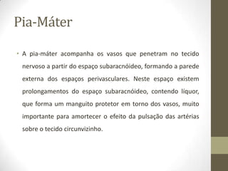 Pia-Máter
• A pia-máter acompanha os vasos que penetram no tecido
nervoso a partir do espaço subaracnóideo, formando a parede
externa dos espaços perivasculares. Neste espaço existem
prolongamentos do espaço subaracnóideo, contendo líquor,
que forma um manguito protetor em torno dos vasos, muito
importante para amortecer o efeito da pulsação das artérias
sobre o tecido circunvizinho.

 