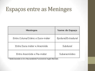 Espaços entre as Meninges

 
