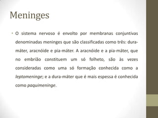 Meninges
• O sistema nervoso é envolto por membranas conjuntivas

denominadas meninges que são classificadas como três: duramáter, aracnóide e pia-máter. A aracnóide e a pia-máter, que
no embrião constituem um só folheto, são às vezes

consideradas como uma só formação conhecida como a
leptomeninge; e a dura-máter que é mais espessa é conhecida
como paquimeninge.

 
