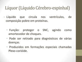 Líquor (Líquido Cérebro-espinhal)
•

Líquido que circula nos ventrículos,
composição pobre em proteínas.

de

• Função: proteger o SNC, agindo como
amortecedor de choques.
• Pode ser retirado para diagnósticos de várias
doenças.
• Produzidos em formações especiais chamadas
Plexo-corióide.

 
