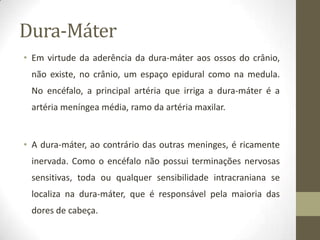 Dura-Máter
• Em virtude da aderência da dura-máter aos ossos do crânio,
não existe, no crânio, um espaço epidural como na medula.
No encéfalo, a principal artéria que irriga a dura-máter é a
artéria meníngea média, ramo da artéria maxilar.

• A dura-máter, ao contrário das outras meninges, é ricamente
inervada. Como o encéfalo não possui terminações nervosas
sensitivas, toda ou qualquer sensibilidade intracraniana se
localiza na dura-máter, que é responsável pela maioria das
dores de cabeça.

 