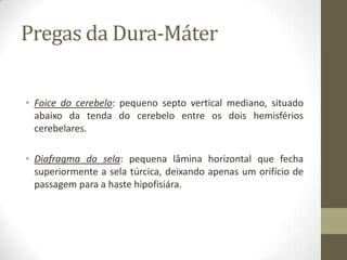 Pregas da Dura-Máter
• Foice do cerebelo: pequeno septo vertical mediano, situado
abaixo da tenda do cerebelo entre os dois hemisférios
cerebelares.
• Diafragma da sela: pequena lâmina horizontal que fecha
superiormente a sela túrcica, deixando apenas um orifício de
passagem para a haste hipofisiára.

 