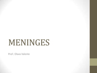 MENINGES
Prof.: Olavo Valente

 