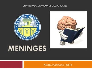 UNIVERSIDAD AUTONOMA DE CIUDAD JUAREZ

MENINGES
MELISSA RODRIGUEZ 128568

 