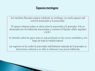 Espacios meníngeos 
Son también llamados espacio subdural, sin embargo, no existe espacio real 
entre la duramadre y la aracnoides. 
El espacio subaracnoideo se ubica entre la aracnoides y la piamadre. Este es 
atravesado por las trabéculas aracnoideas y contiene el líquido céfalo raquídeo 
(LCR) . 
Es estrecho sobre los giros, pero es más profundo en los surcos cerebrales y a lo 
largo de toda la médula espinal. 
Las regiones en las cuales la aracnoides está bastante separada de la piamadre se 
denominan cisternas y en ellas se observan muy pocas trabéculas 
 