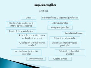 Irrigación encefálica 
Contiene: 
Venas 
Fisiopatología y anatomía patológica 
Ramas intracraneales de la Sistema carotídeo 
arteria carótida interna 
Polígono de Willis 
Sistema vertebrobasilar 
Ramas de la arteria basilar 
Ramas de la porción craneal 
de la arteria vertebral 
Situación colateral del 
encéfalo 
Circulación y metabolismo 
cerebral 
Inervación de las arterias 
cerebrales 
Sistema de drenaje venoso 
profundo 
Senos venosos 
Correlatos clínicos 
Cuadro clínico 
