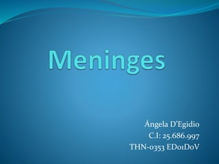 Ángela D’Egidio 
C.I: 25.686.997 
THN-0353 ED01D0V 
 