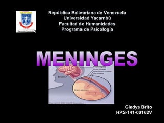República Bolivariana de Venezuela 
Universidad Yacambú 
Facultad de Humanidades 
Programa de Psicología 
Gledys Brito 
HPS-141-00162V 
 