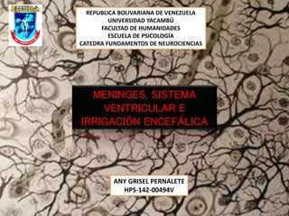 REPUBLICA BOLIVARIANA DE VENEZUELA 
UNIVERSIDAD YACAMBÚ 
FACULTAD DE HUMANIDADES 
ESCUELA DE PSICOLOGÍA 
CATEDRA FUNDAMENTOS DE NEUROCIENCIAS 
MENINGES, SISTEMA 
VENTRICULAR E 
IRRIGACIÓN ENCEFÁLICA 
ANY GRISEL PERNALETE 
HPS-142-00494V 
 