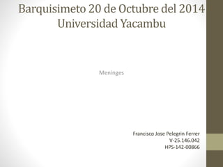Barquisimeto 20 de Octubre del 2014 
Universidad Yacambu 
Meninges 
Francisco Jose Pelegrin Ferrer 
V-25.146.042 
HPS-142-00866 
 