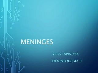 MENINGES
YEISY ESPINOZA
ODONTOLOGIA II
 