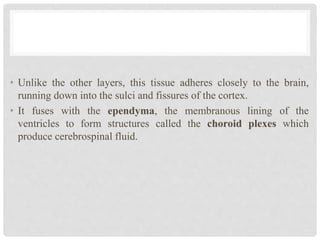 • Unlike the other layers, this tissue adheres closely to the brain,
running down into the sulci and fissures of the cortex.
• It fuses with the ependyma, the membranous lining of the
ventricles to form structures called the choroid plexes which
produce cerebrospinal fluid.
 