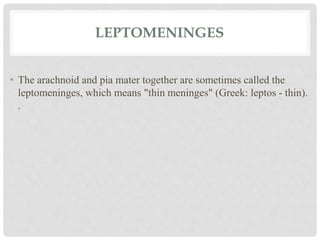 LEPTOMENINGES
• The arachnoid and pia mater together are sometimes called the
leptomeninges, which means "thin meninges" (Greek: leptos - thin).
.
 