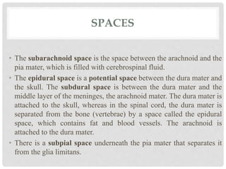 SPACES
• The subarachnoid space is the space between the arachnoid and the
pia mater, which is filled with cerebrospinal fluid.
• The epidural space is a potential space between the dura mater and
the skull. The subdural space is between the dura mater and the
middle layer of the meninges, the arachnoid mater. The dura mater is
attached to the skull, whereas in the spinal cord, the dura mater is
separated from the bone (vertebrae) by a space called the epidural
space, which contains fat and blood vessels. The arachnoid is
attached to the dura mater.
• There is a subpial space underneath the pia mater that separates it
from the glia limitans.
 