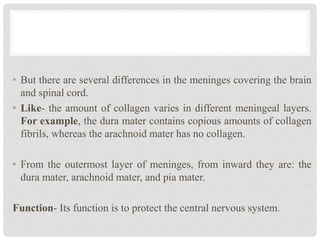 • But there are several differences in the meninges covering the brain
and spinal cord.
• Like- the amount of collagen varies in different meningeal layers.
For example, the dura mater contains copious amounts of collagen
fibrils, whereas the arachnoid mater has no collagen.
• From the outermost layer of meninges, from inward they are: the
dura mater, arachnoid mater, and pia mater.
Function- Its function is to protect the central nervous system.
 