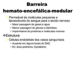 Barreira  hemato-encefálica-medular Permeável às moléculas pequenas e lipossolúveis do sangue para o tecido nervoso Maior passagem de gases e água Menor passagem de glicose e eletrólitos Impermeável às proteínas e moléculas maiores Estrutura Células endoteliais dos vasos sanguíneos Ausente em alguns locais do SNC Ex: área postrema, hipotálamo 