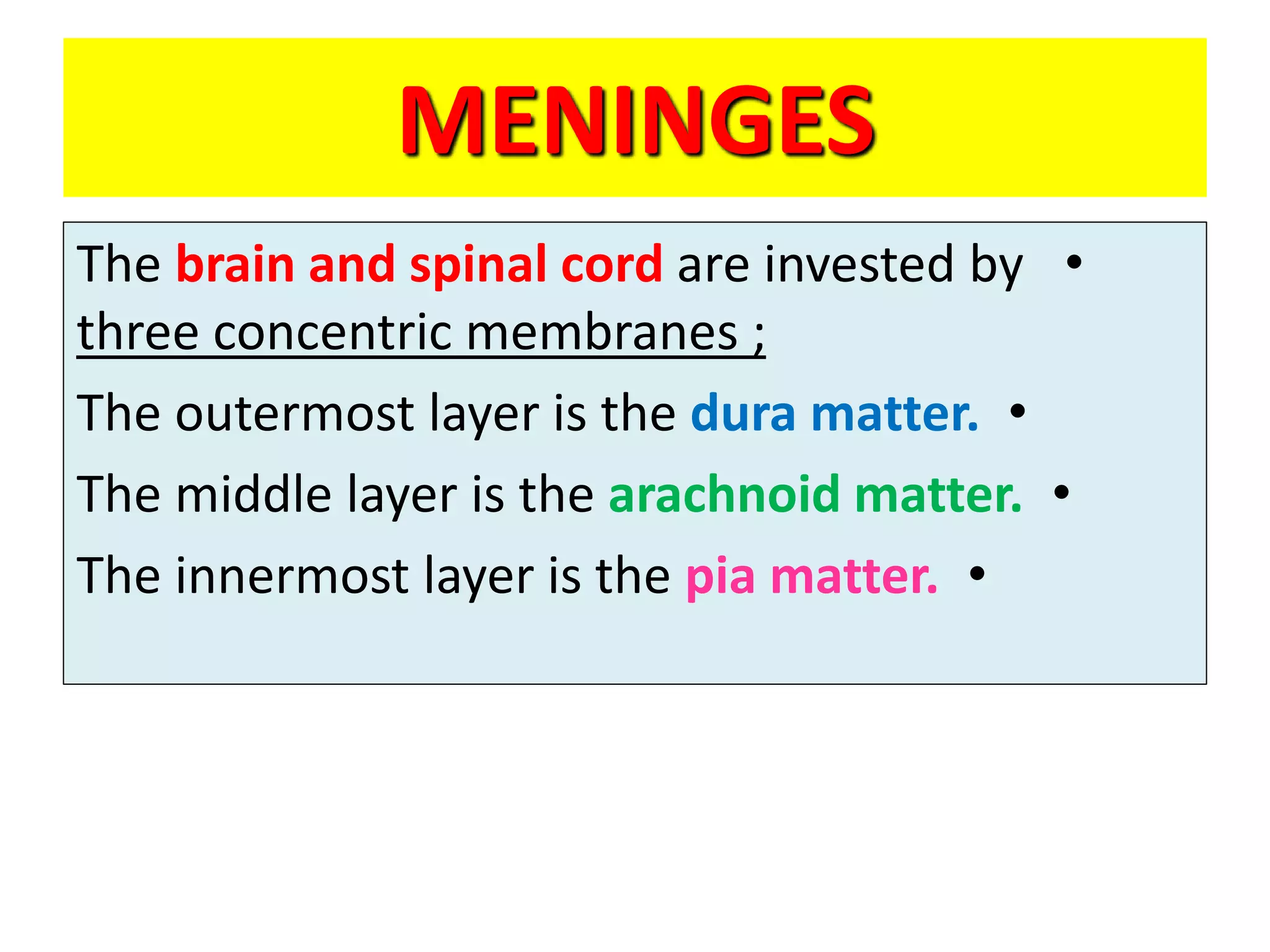 MENINGES
•
The brain and spinal cord are invested by
three concentric membranes ;
•
The outermost layer is the dura matter.
•
The middle layer is the arachnoid matter.
•
The innermost layer is the pia matter.
 